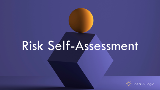 Risk Self-Assessment - Spark & Logic
